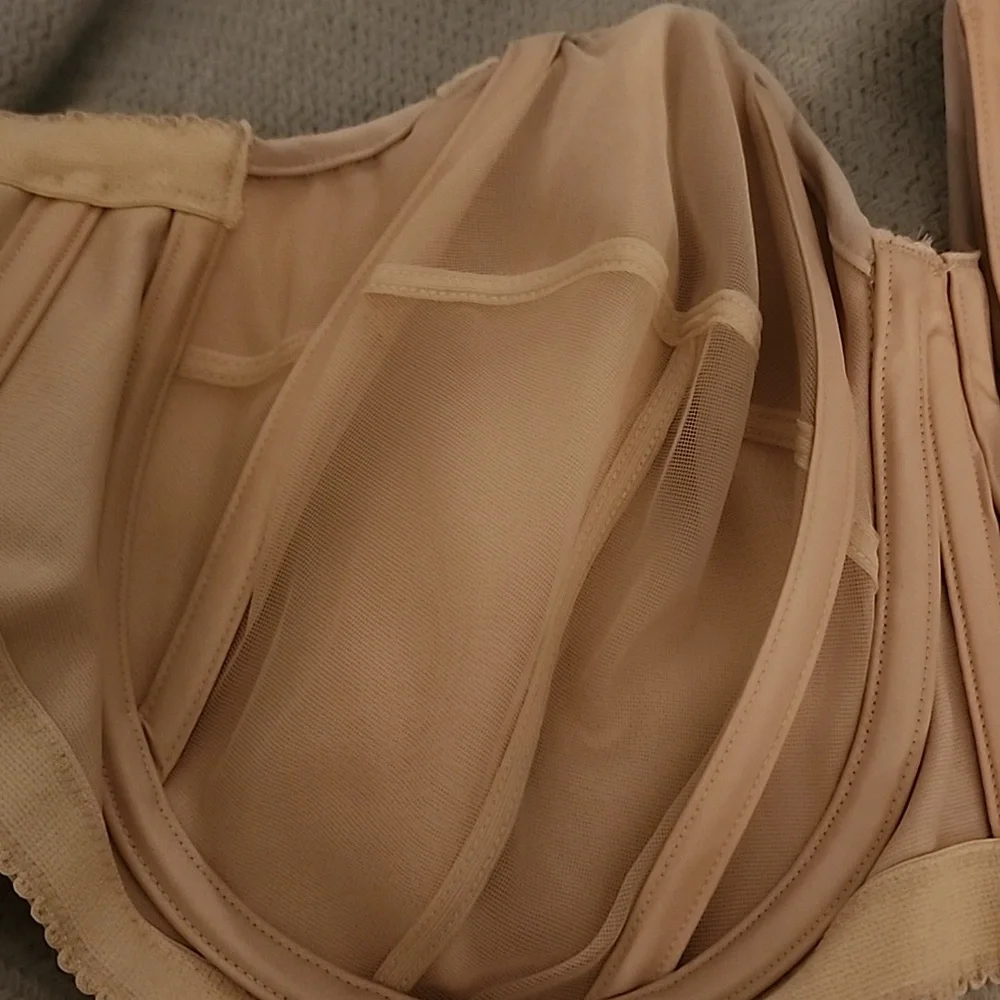 Elila Strapless Bra - Picture 5 of 6